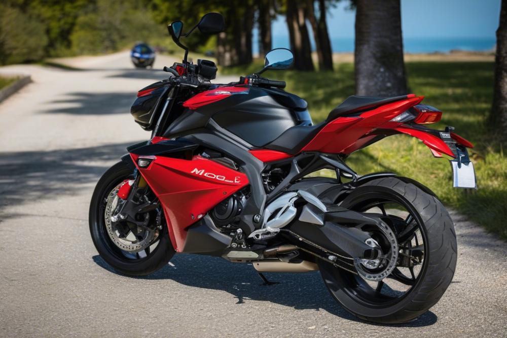 comparing-the-best-motorcycle-tank-lock-bags